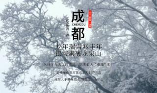 2024最火下雪幽默文案